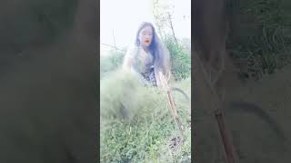 masu pakadai xa masuvideotiktokvideopasangnepaliokhaldhungaviralnepalrabinfpyfunnyvideo