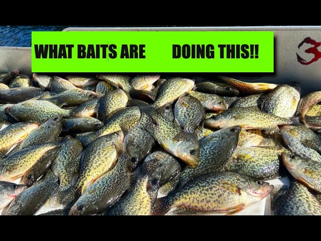 Winter Crappie baits (What are we using) 