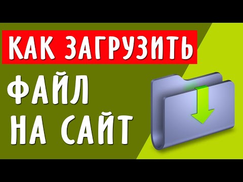 Как загрузить файл на хостинг и создать прямую ссылку для скачивания