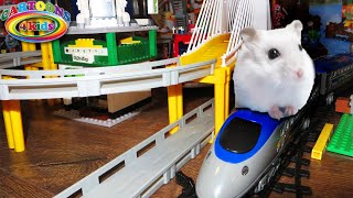 Toy Trains For Kids And Toddlers. Поезда Для Детей И Приключения Хомяка В Игрушечном Городе
