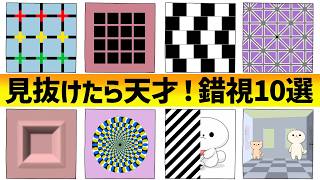 【錯覚】見抜けたら天才!みんな引っかかる錯視映像10選