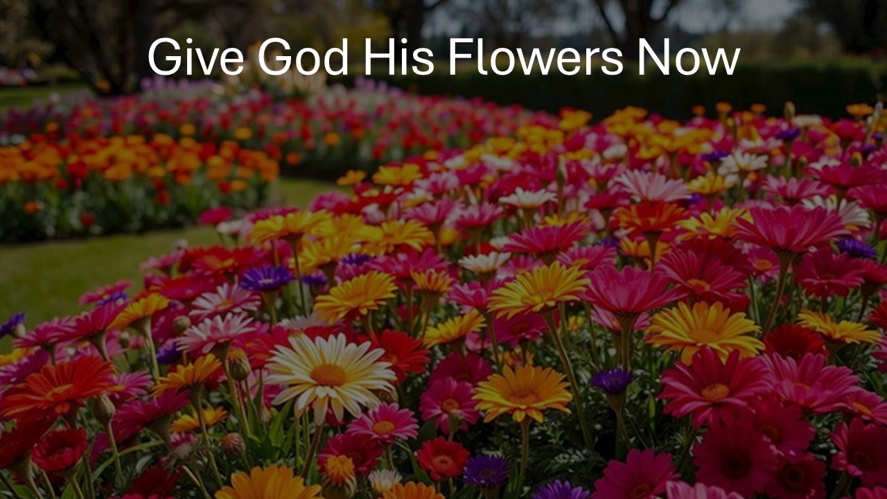 Give God His Flowers Now - Col 3.12-17 - May 3, 2026