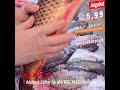 🐟 FRISCHE KARPFEN