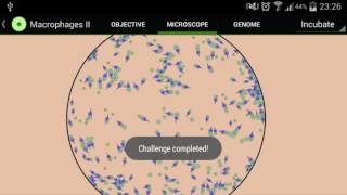 Grin Danilov studio. Music & sounds for Cell lab