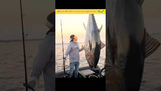 Why Is Bluefin Tuna So Expensive 💵 #shorts #facts