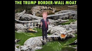 In 2011 Obama Predicted Trumps Wall With A Moat Full Of Alligators & Poisonous Snakes