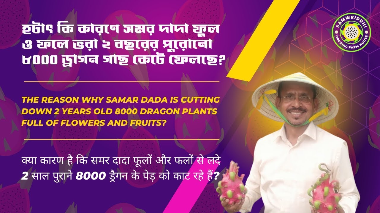 হটাৎ কি কারণে সমর দাদা ফুল ও ফলে ভরা ২ বছরের পুরোনো ৮০০০ ড্রাগন গাছ কেটে ফেলছে?