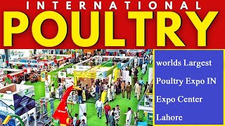 Download Lagu International Poultry Expo 2025 in Lahore Expo Center .Secrets With Mahwish MP3 Download Lagu International Poultry Expo 2025 in Lahore Expo Center .Secrets With Mahwish MP3