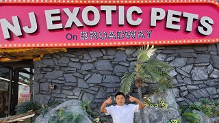 NJ EXOTIC PET STORE 🦎 🐍 
