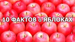 10 ФАКТОВ о ЯБЛОКАХ 10 ФАКТОВ о ЯБЛОКАХ