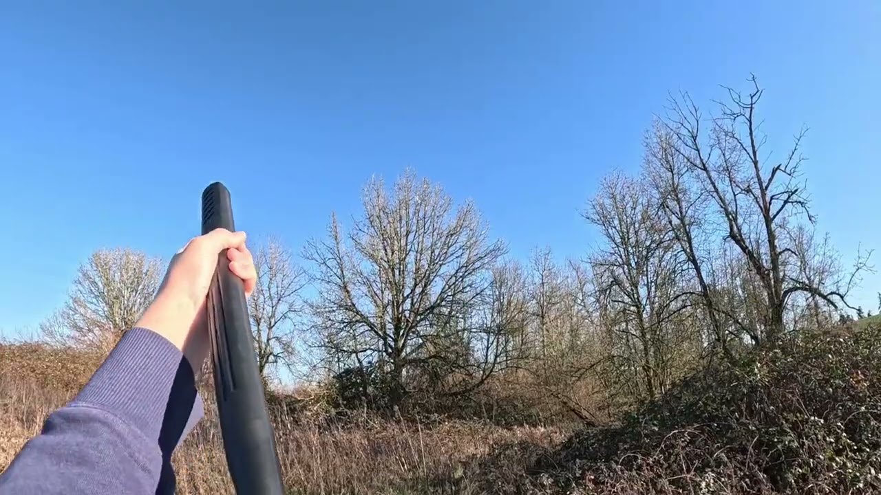 Hunting birds with .177 pellet gun. 