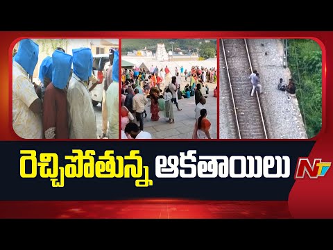 Tirupati: టెంపుల్ సిటీలో ఆకతాయిల ఆగడాలు.. | NTV Telugu - NTVTELUGU