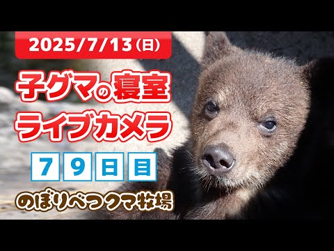 OK牧場のくまさん Amazon.co.jp: ぼくじょうのくまさん : フィービ ウォージントン