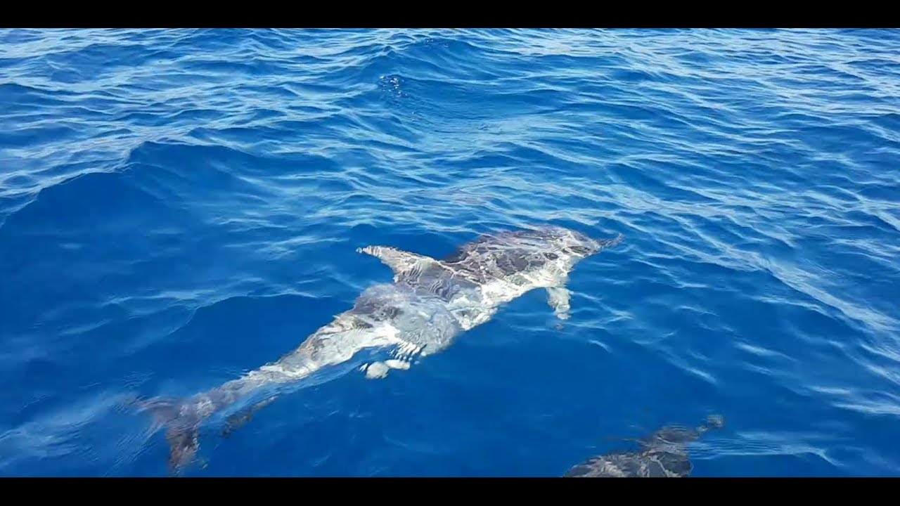 La beauté de Collo (Algérie) août 2017