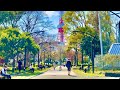 【４K】Walking to Tokyo Tower in Japan/東京タワーまで散歩
