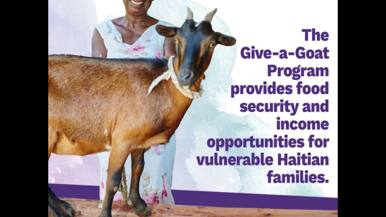 How To Donate A Goat