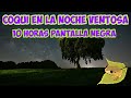 Sonido Coqui Y Noche Ventosa En El Campo Pueto Rico Relajante 10 horas