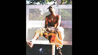 Dj Fur-Zen 2Pac The Outlawz - Comrats Warlords Remix