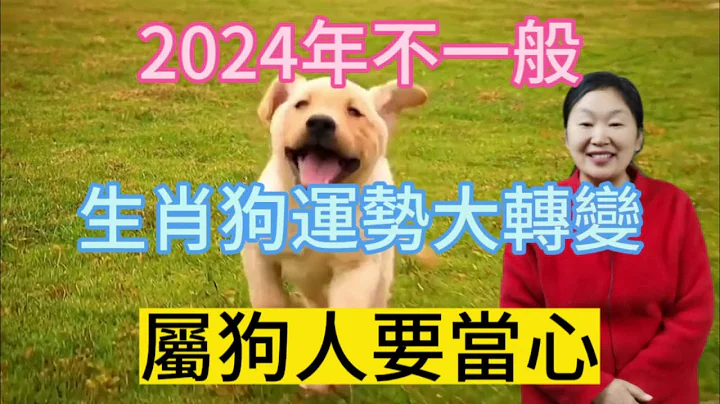 2024年很特殊！生肖狗运势大变！属狗人2024年运势运程大揭秘！生肖狗2024年运势解析！属相狗必看！#生肖 #运势 #佛教 - 天天要闻