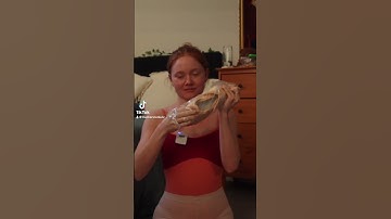 BREAKING IN POINTE SHOES #ballet #ballerina #dance #pointeshoes #pointe