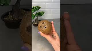 #Как разбить какос