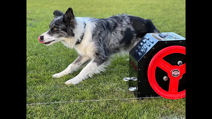 9 Pulley Course with a Renegade lure machine