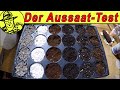 Aussaat in Kokos, Perlite, Kaffee und Wolle 😮 Mit Daniella und Englischunterricht.