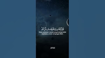 سورة الزمر | راحة نفسية 🥀🫀