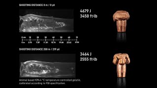 Powerhead Balde Pro  Gelatine hit - 300 Win Mag