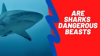 Are Sharks Man-eaters 🦈 | Juicy Facts | #teamseas