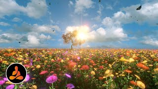 Relaxing Piano Music with Birds Singing - NO ADS - 🖤7 Meditar