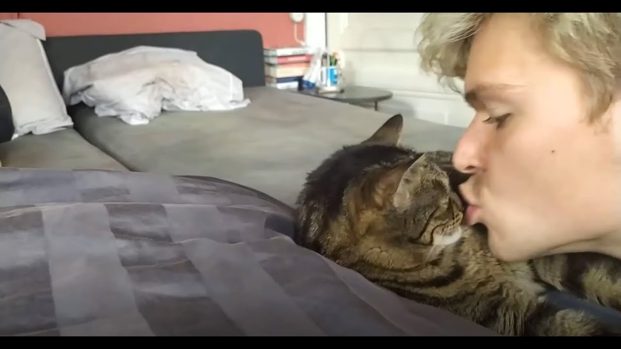 kissing my cat on the lips YouTube