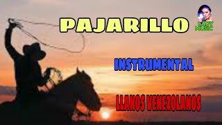 Video thumbnail of "PAJARILLO instrumental (Llanos Venezolanos)"