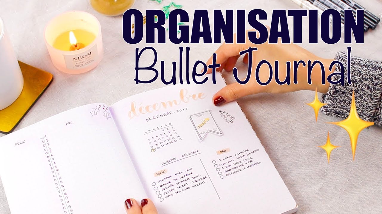 ORGANISATION : le BULLET JOURNAL  3 exemples (minimaliste, décoration  facile, doodle) 