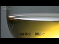 冬の河dvd