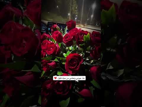 ماجدالمهندس خذ عيوني وعطني من حبك قليل