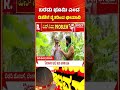 Yen Nim Problemu : ಬರಡು ಭೂಮಿ ಎಂದ ಡಿಕೆಶಿಗೆ ರೈತರಿಂದ ಛೀಮಾರಿ | Bidadi