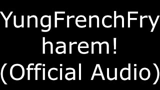 YungFrenchFry Harem (Official Audio)