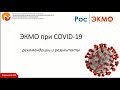 COVID-19 – рекомендации и результаты в России и мире