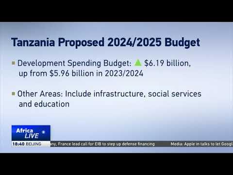 Tanzania plans 19.35 billion U.S. dollar budget