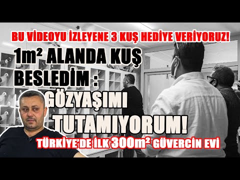 TÜRKİYE'DE İLK: 300m² GÜVERCİN EVİ AÇILDI - OSMANİYE / GÜMBÜRCÜ KARDEŞLER