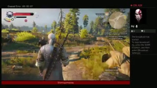Witcher 3