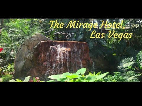 Acuario en silverton casino las Vegas #lasvegas #casino #acuario #silverton #sirenas #lasvegas