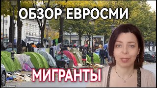 МИГРАНТЫ В ЕВРОПЕ - КРИМИНАЛЬНАЯ СТАТИСТИКА И НЕВЕРОЯТНЫЕ ИСТОРИИ ПЕРЕКОСА ЕВРОПОЛИТИКИ