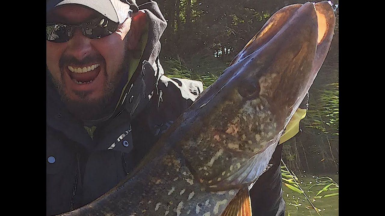🇸🇪 Bass Fishing Style in Svezia! – Spinnerbait al Lago Sibbo 🎣