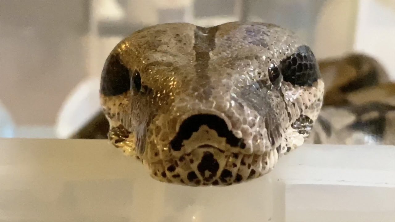 衣装ケースってどーなの⁈