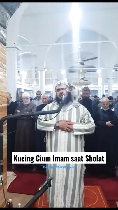 Kucing Cium Imam saat Sholat