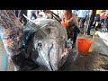 400kg giant bluefin tuna and marlin catching and cutting  taiwan street food