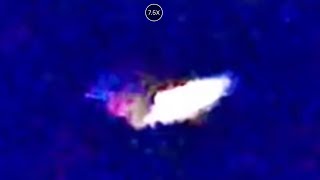 Bugs and Stuff Sydney Australia 🇦🇺 2020-2024 by STRANGE INVADERS THAT UFO SHOW UFO BUSTERS 2 views 18 hours ago 5 minutes, 52 seconds