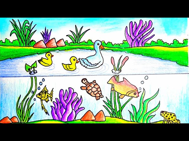 Pond Ecosystem Projectable - teach.starfall.com | Ecosystems, Pond drawing,  Wetland